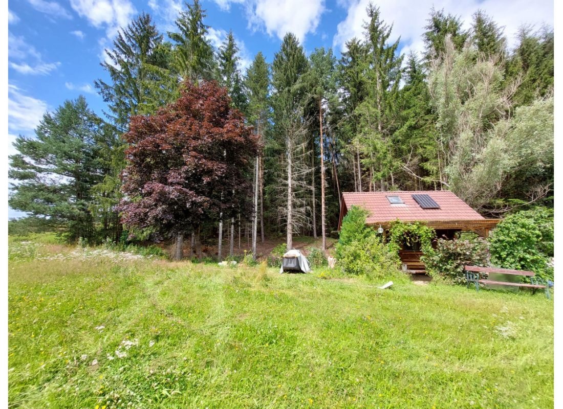 Stellplatz bei meiner Waldhütte — Aire camping car in Groß Gerungs