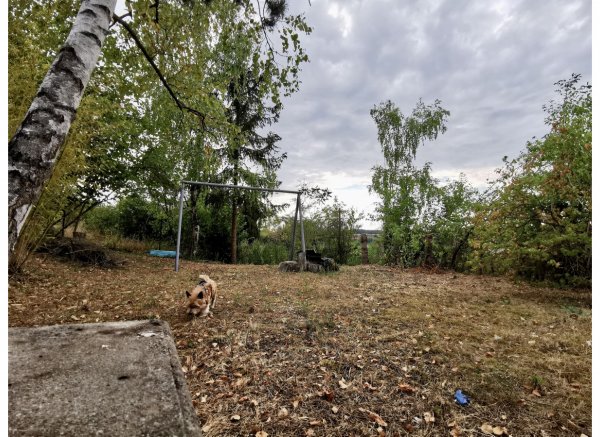 Mit Blick auf die Festung