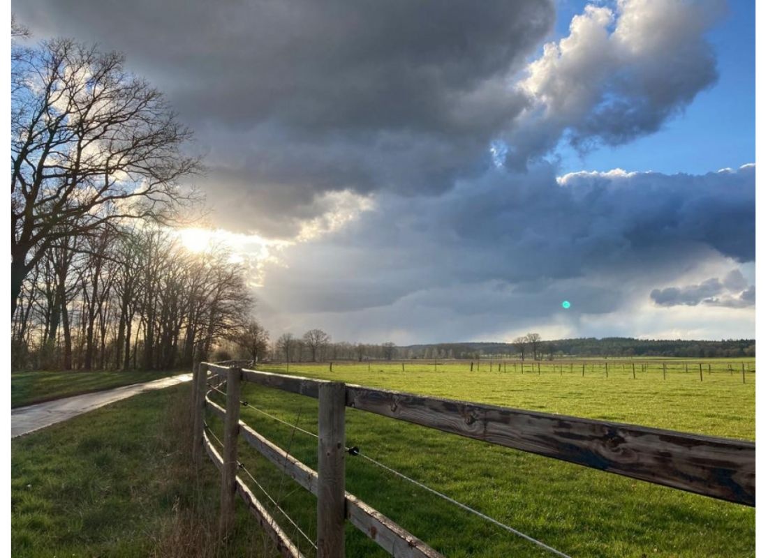 Campen zwischen Wald und Wiese #2 — Місце для кемперів in Oetzen