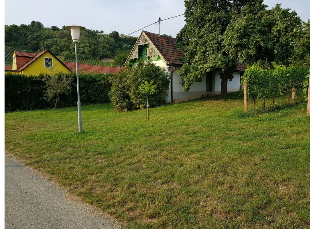 Einzelstellplatz "Alter Keller" — Vinícola in Eisenberg/Pinka