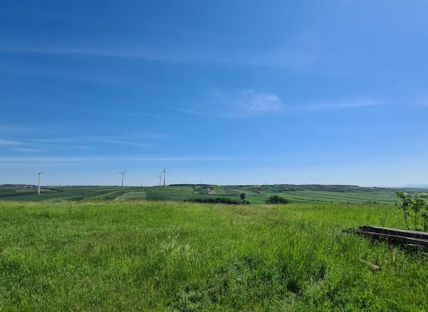 Campen am Sonnberg — Photo 2