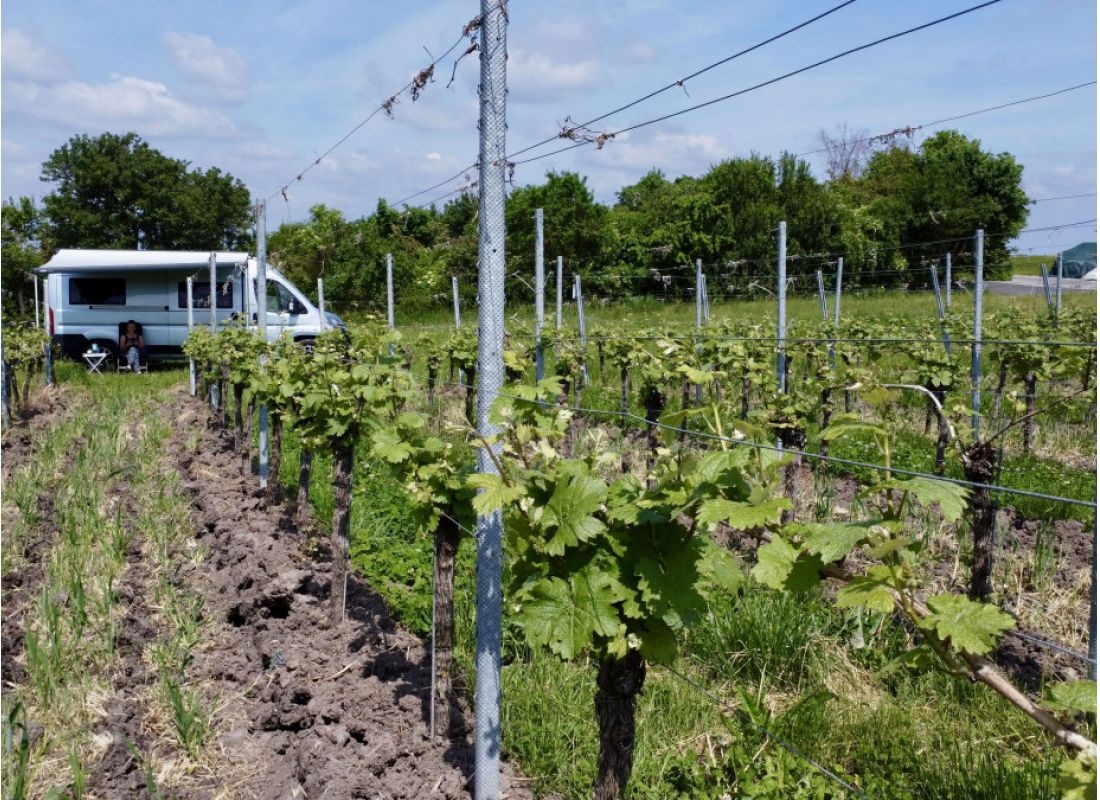 Naturidylle direkt am Weinberg #3 — Area di sosta in Wiesenbronn