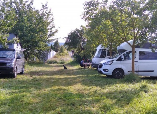 Zwischen den Weinbergen — Foto 3