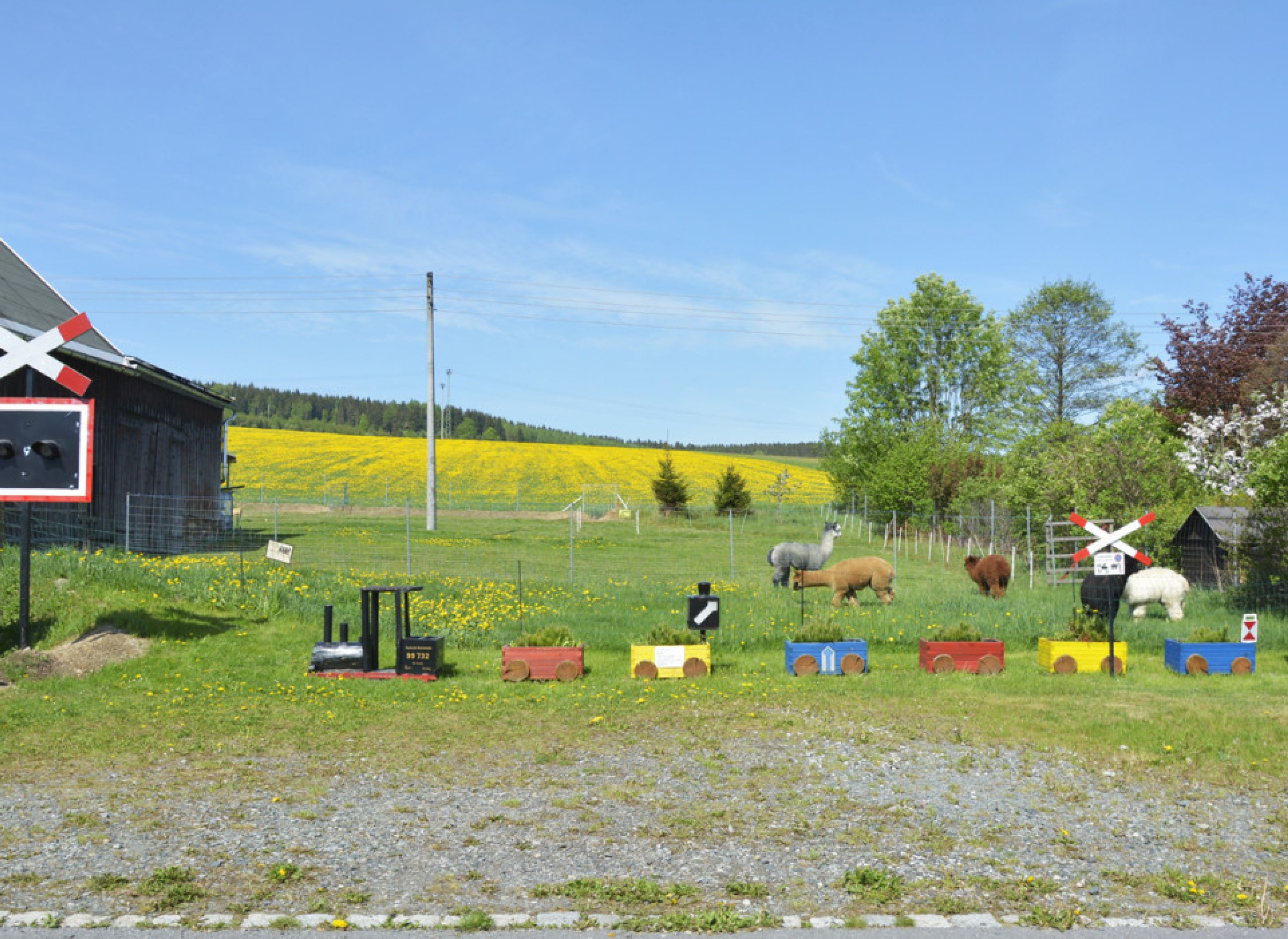 Idylle im Erzgebirge zwischen Alpakas und Fichtelbergbahn — Sp. parking dla kamperów in Sehmatal
