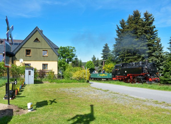 Idylle im Erzgebirge zwischen Alpakas und Fichtelbergbahn — Photo 2