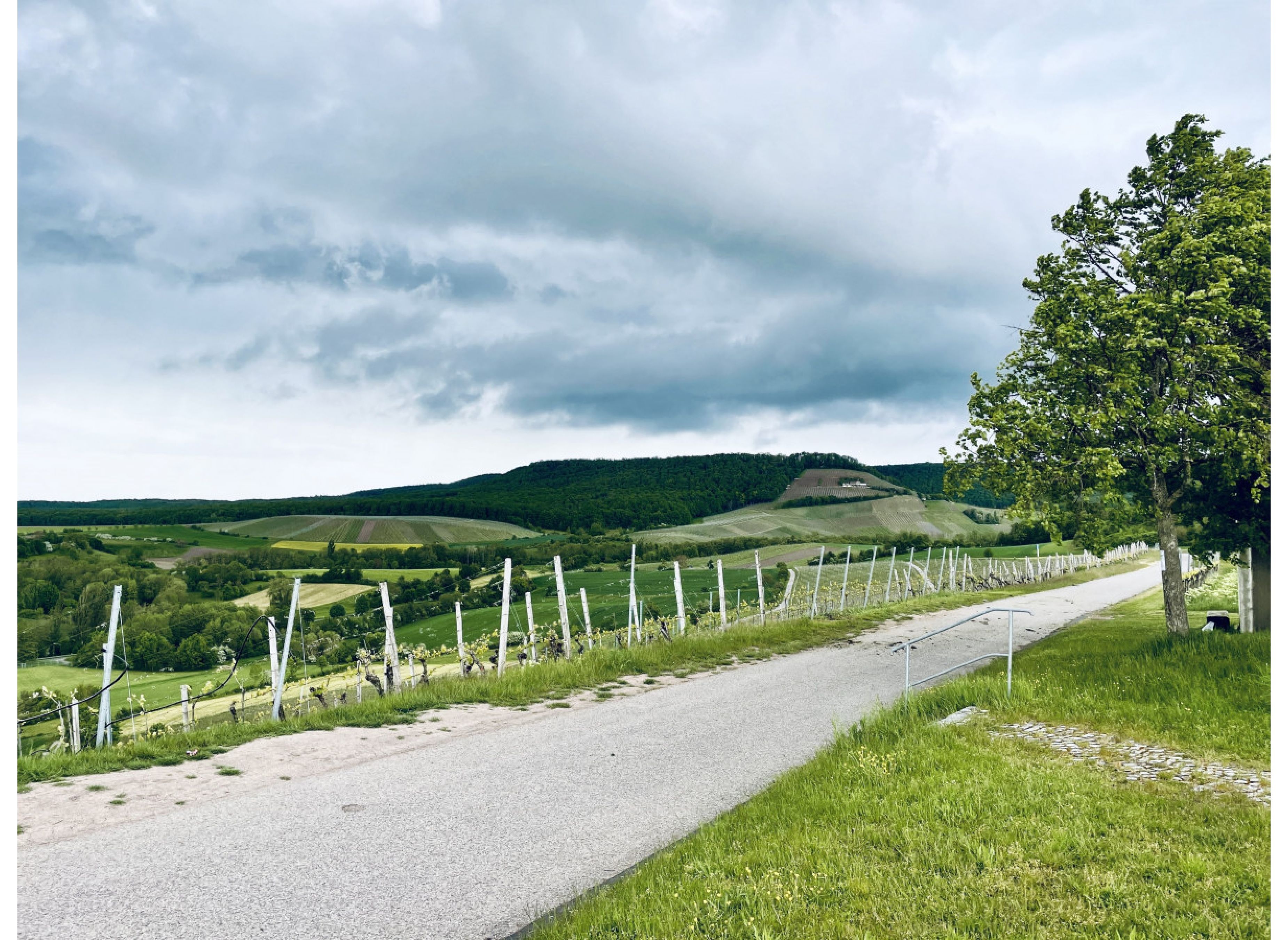 Über unseren Weinbergen mit 360° Panorama auf der Spitze des Herrenberg's — Bobilplass in Oberschwarzach
