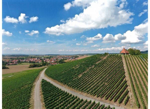 Über unseren Weinbergen mit 360° Panorama auf der Spitze des Herrenberg's — Foto 3