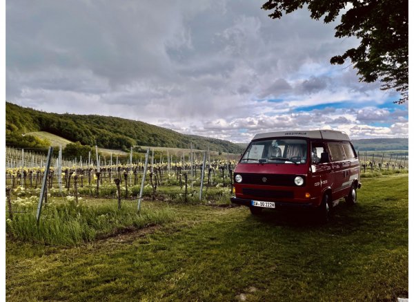 Über unseren Weinbergen mit 360° Panorama auf der Spitze des Herrenberg's — Photo 2