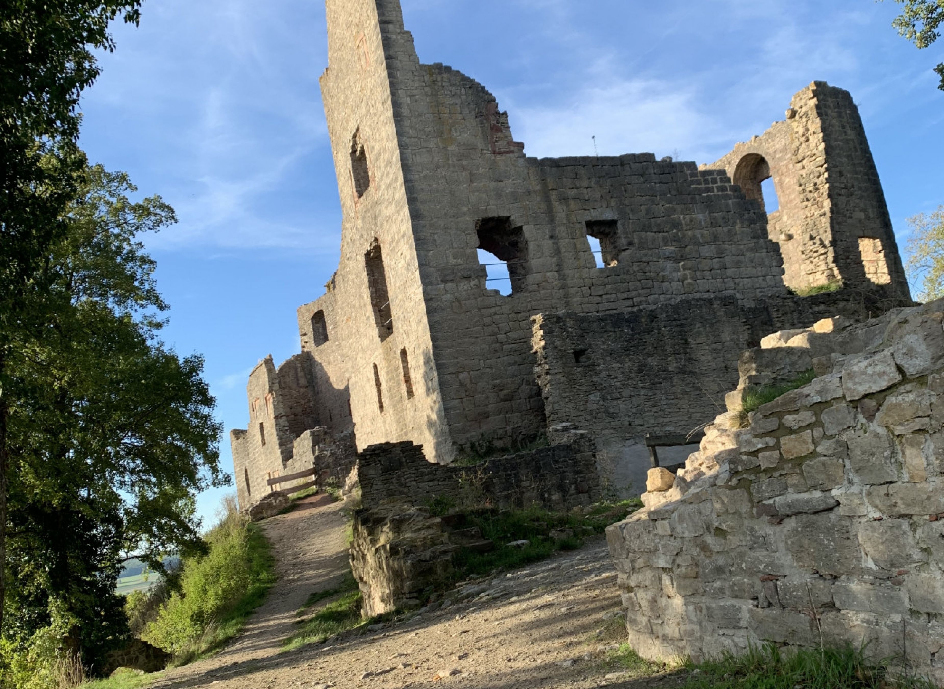 Schöner Stellplatz in den Weinbergen und der Burg Ruine #2 — Vinícola in Gössenheim