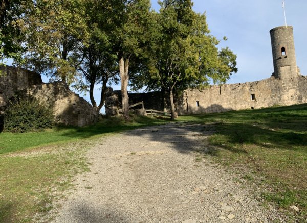 Schöner Stellplatz in den Weinbergen und der Burg Ruine #2 — Photo 2