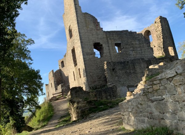 Schöner Stellplatz in den Weinbergen und der Burg Ruine #2
