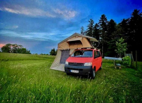 Auszeit beim Hirschgehege #2 — Photo 2