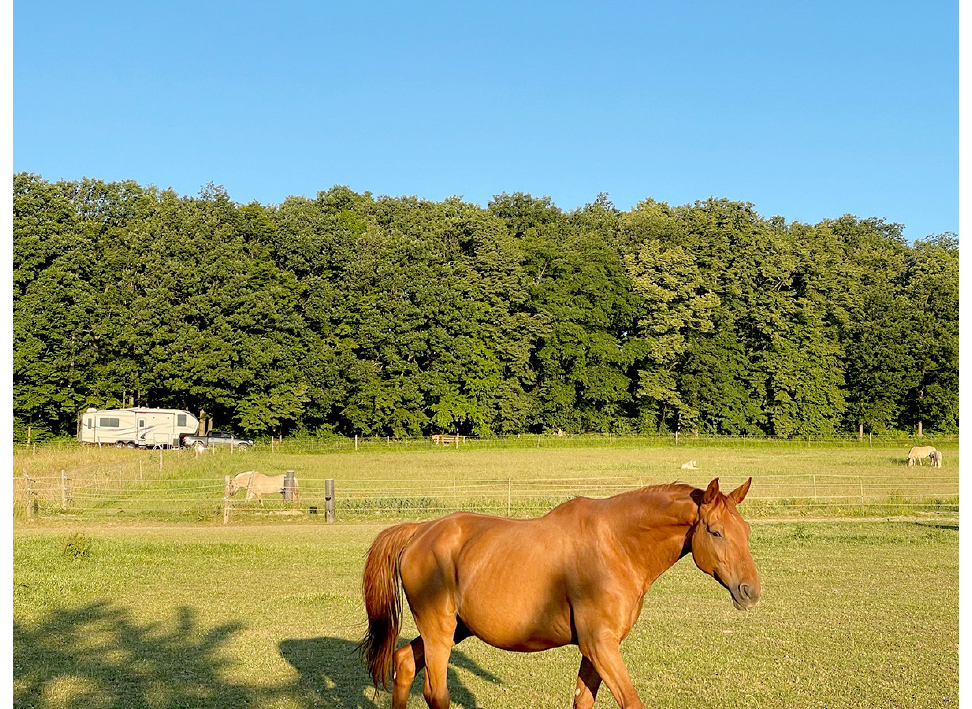 Naturerlebnis mit Panoramablick am Landgut — Camperplaats in Liebstadt