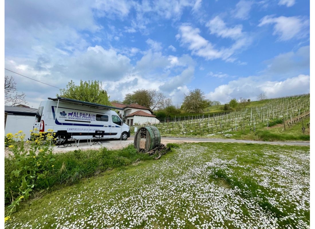 camping auf obstwiese und wohnmobilstellplatz im weinberg — Vineri in Weinsheim