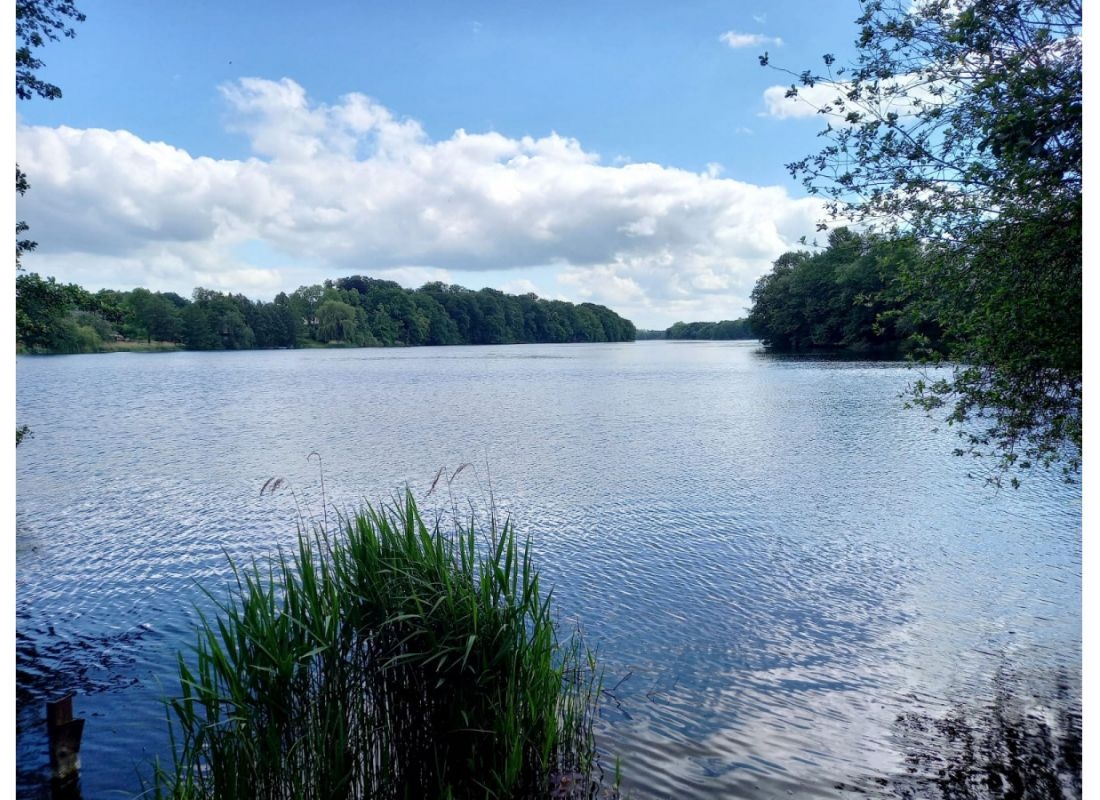 Große Wiese mit Weitblick am Cramoner See #2 — Camperplaats in Cramonshagen