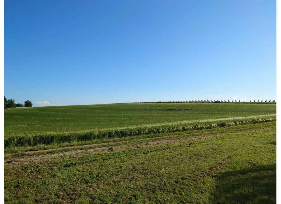 Der Traum vor den Apfelbäumen — Bobilplass in Bermatingen