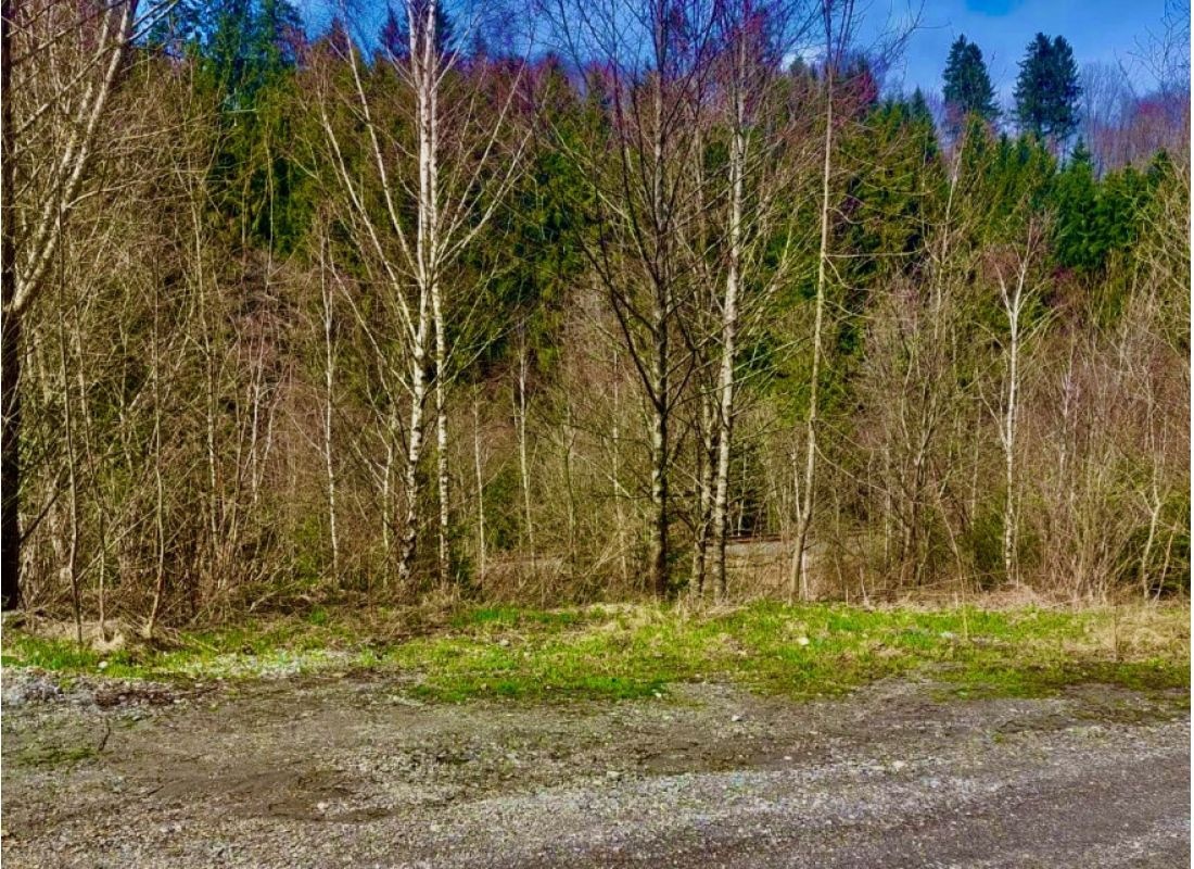 An der Wendeplatte — Sítio para autocaravanas in Zachenberg