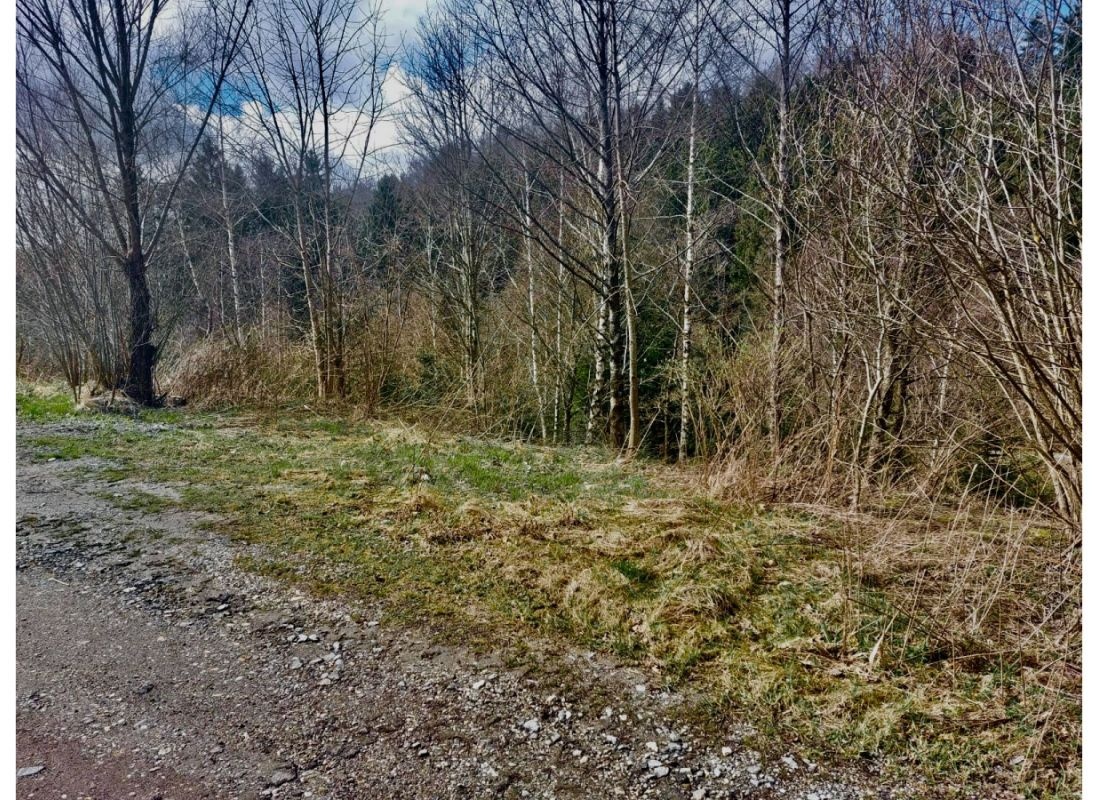 An der Wendeplatte — Bobilplass in Zachenberg