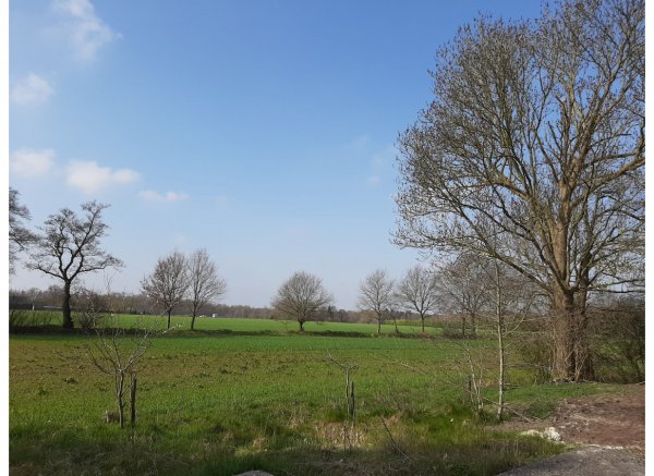 Ruhig und naturnah — Photo 2