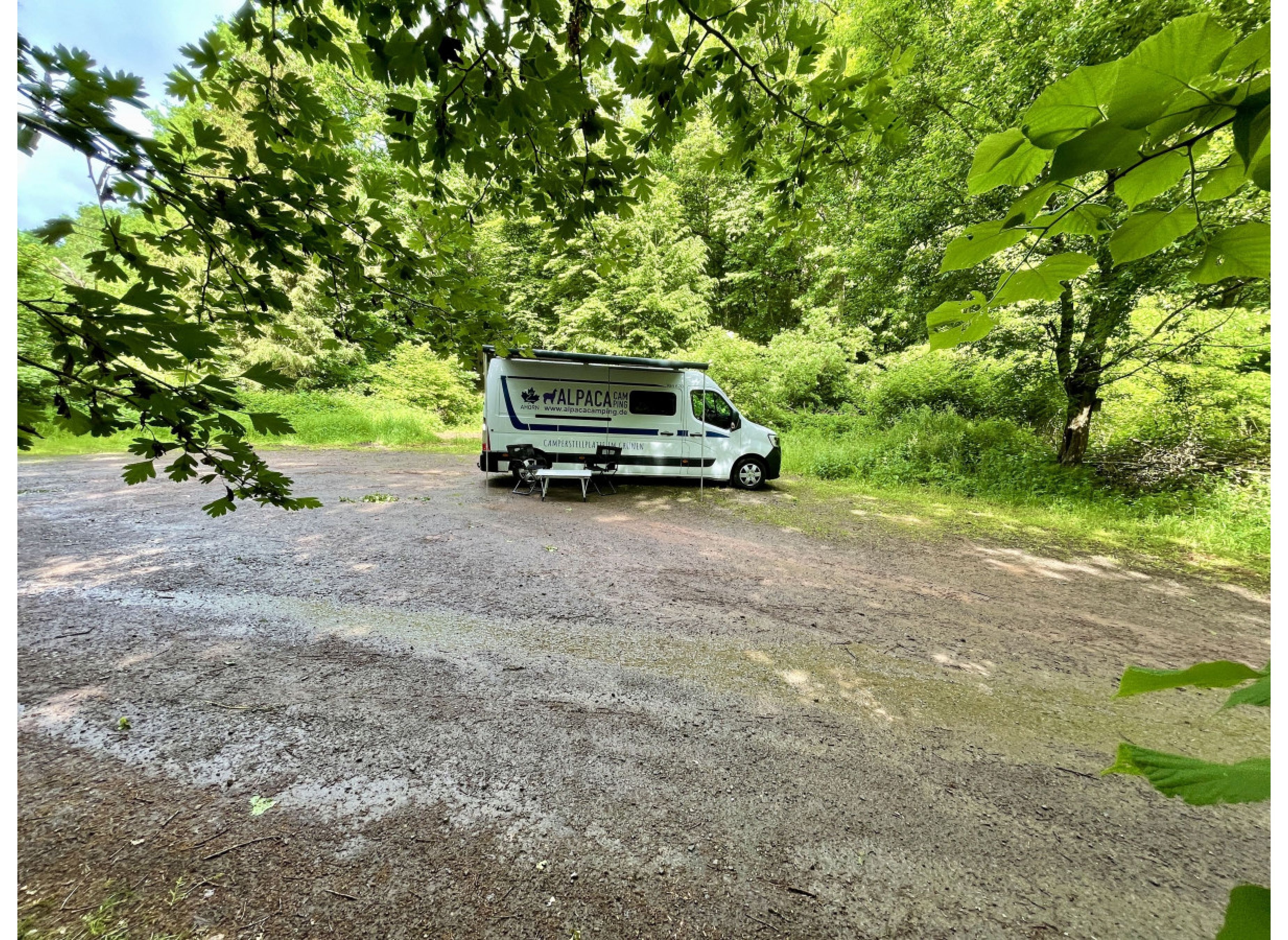Ruhiger Waldplatz in der Nähe vom Schützenhaus — Camperplads in Katzweiler