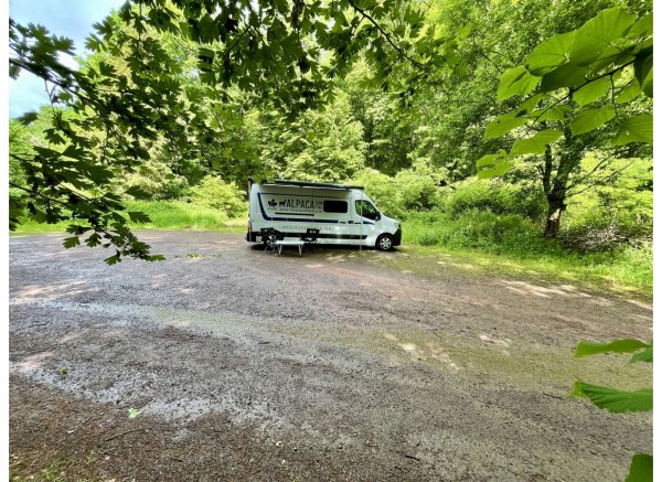Ruhiger Waldplatz in der Nähe vom Schützenhaus — Foto 3