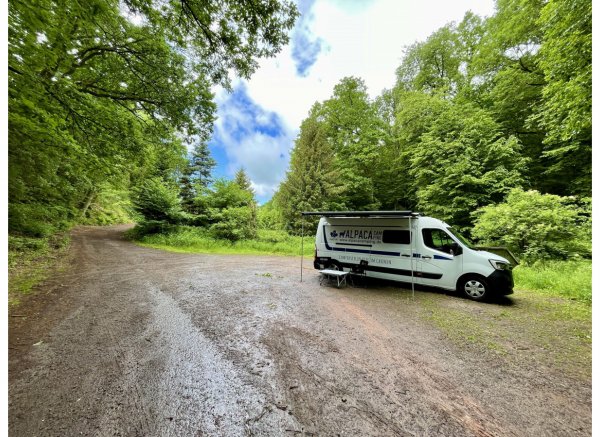 Ruhiger Waldplatz in der Nähe vom Schützenhaus — Photo 2