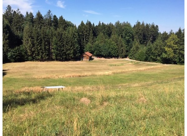Bruckenhaus alone — Foto 2