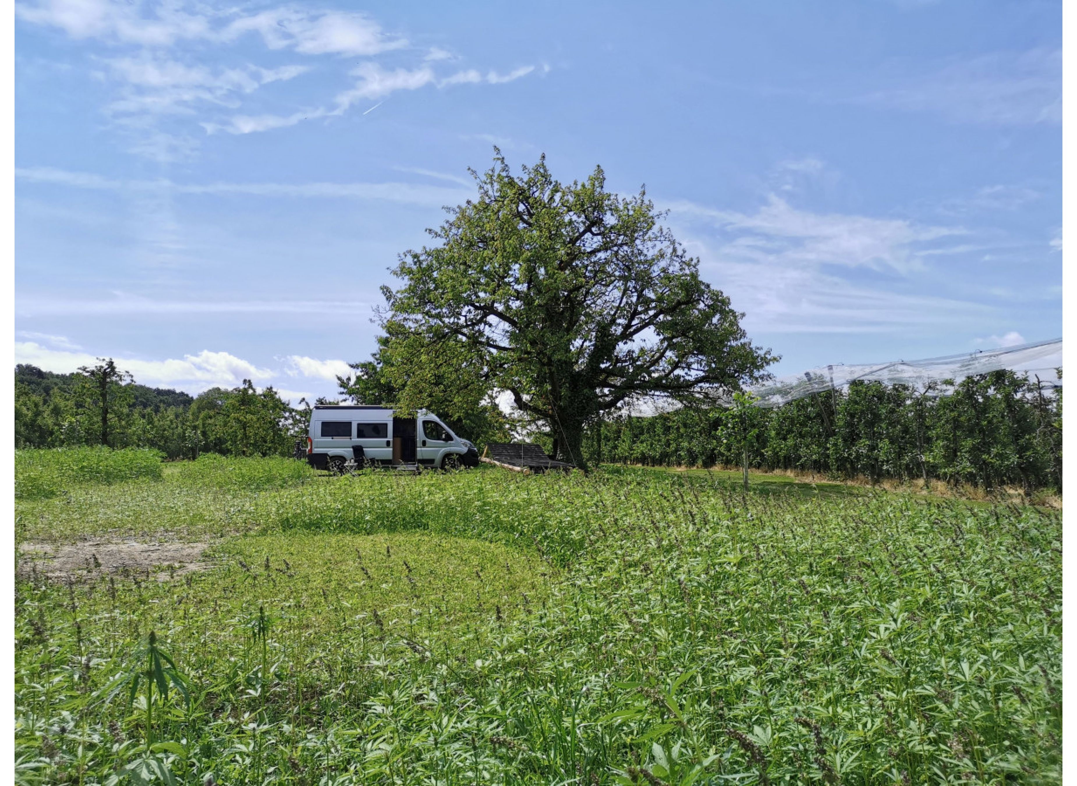 Kirschgarten 2 — Bobilplass in Ravensburg