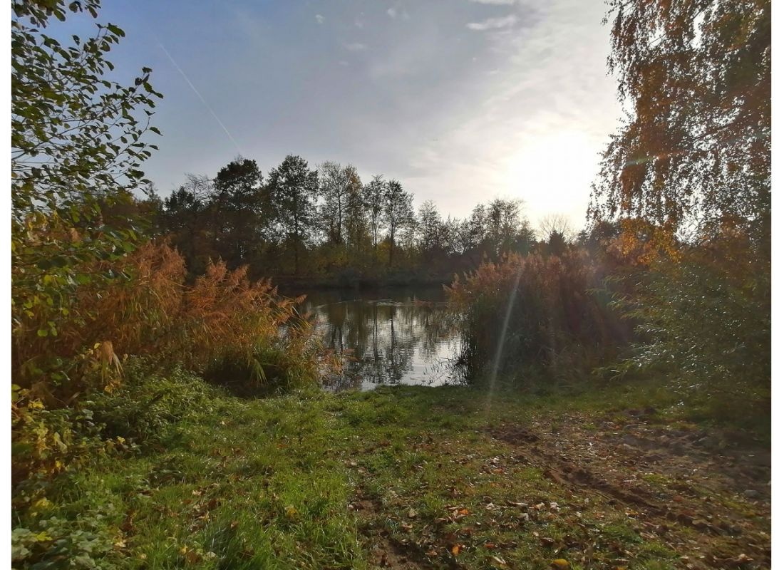 Einzelstellplatz an der Alten Oder — Karavan Sitesi in Oderberg
