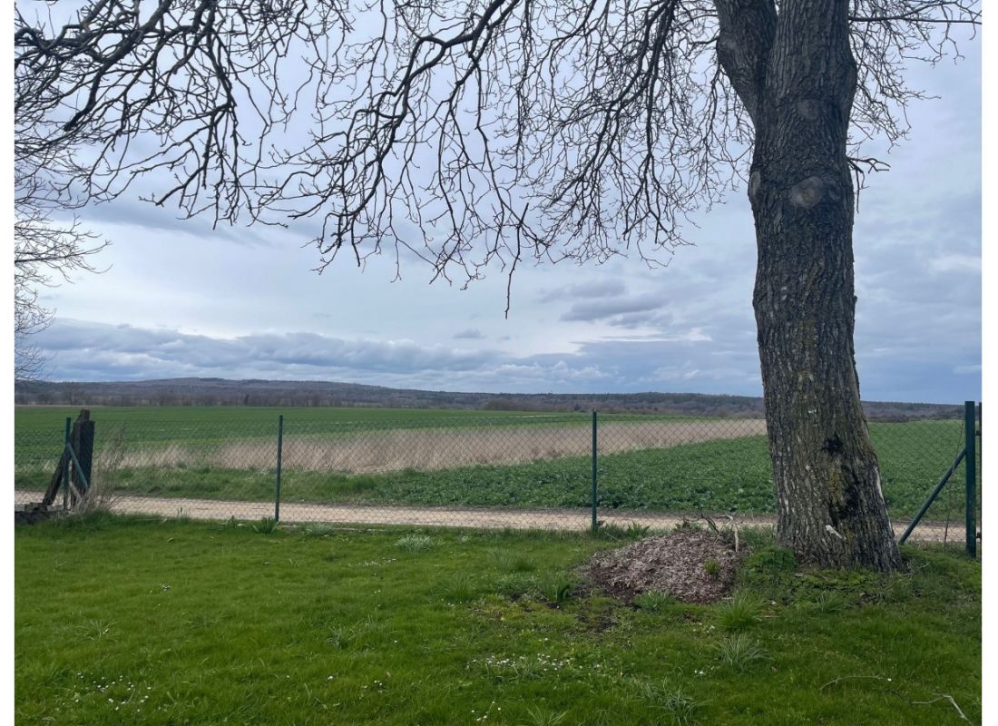 Ruhiger und idyllischer Stellplatz mit Fernblick unter altem Baumbestand #3 — Sítio para autocaravanas in Pappenheim
