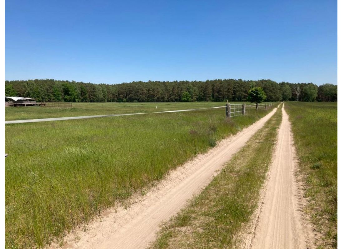 Eingezäuntes sonniges Plätzchen — Stellplatz in Rheinsberg