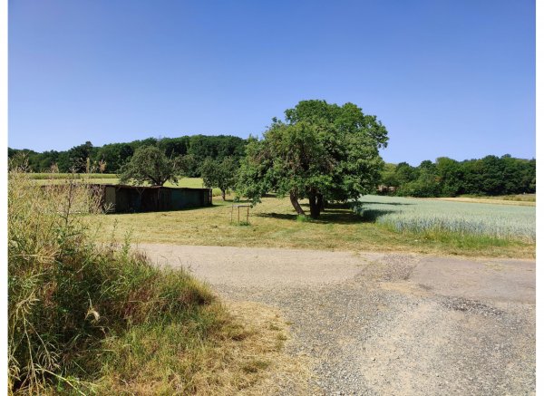 Auf der Obstbaum-Wiese inmitten von Feldern — Photo 2
