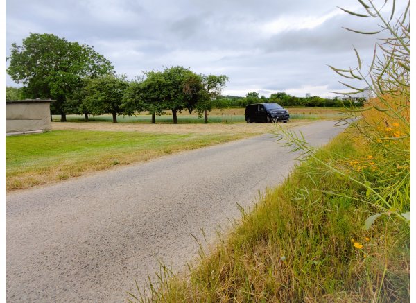 Auf der Obstbaum-Wiese inmitten von Feldern