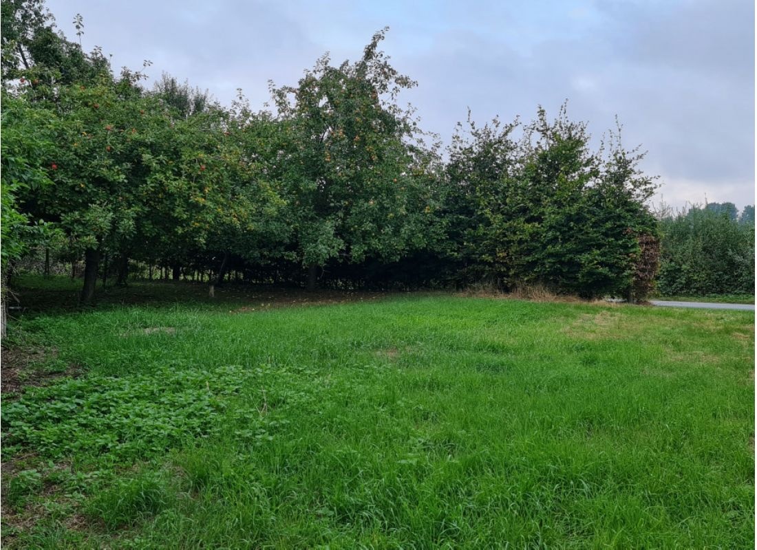 An der Apfelwiese — Area di sosta in Lebrade