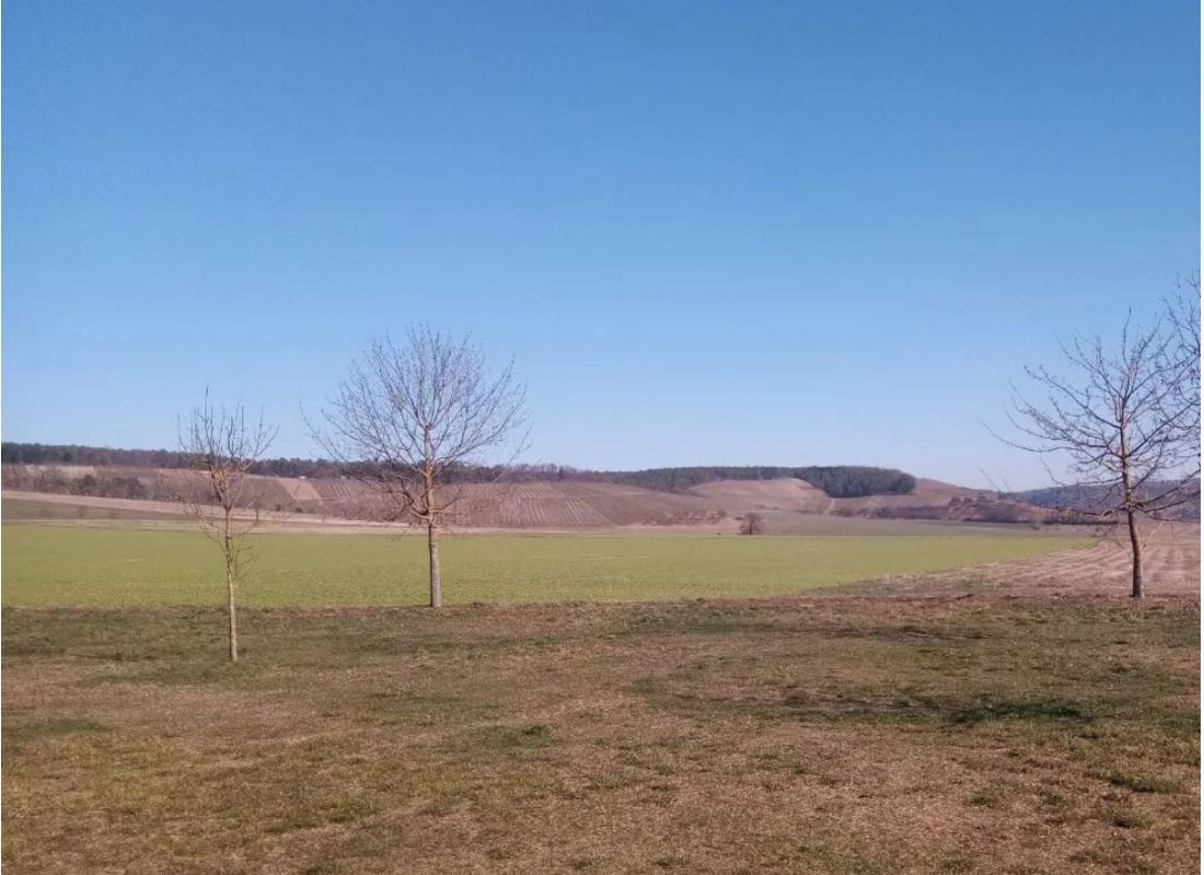 Wiesenstellplatz, am Waldrand gelegen, Gelände des Kletterwaldes. #2 — Bobilplass in Wertheim/Dertingen