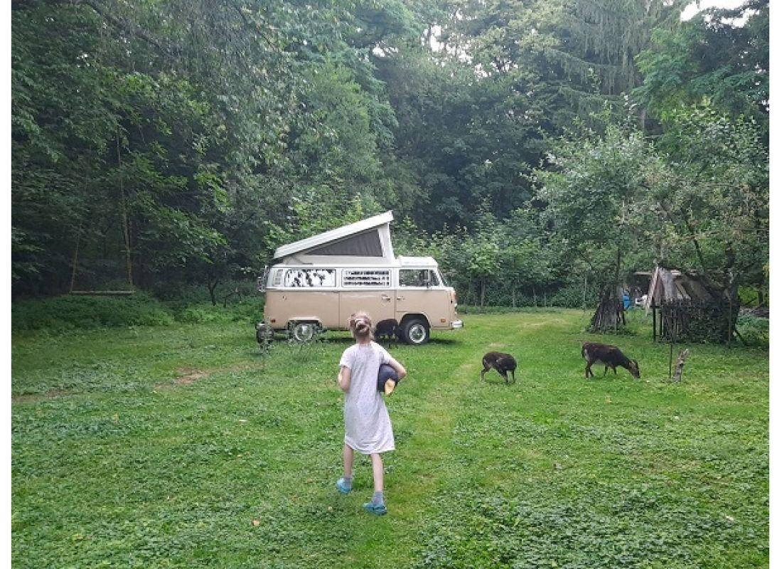 Parkähnliche Idylle am Rande der Wahner Heide zwischen Köln und Bonn — Aire camping car in Köln