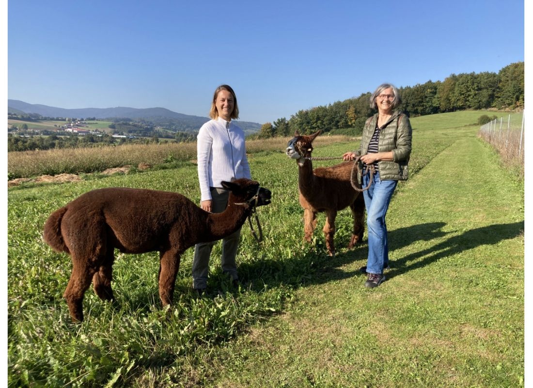 Zwischen Alpakaweide und Permakultur — Sp. parking dla kamperów in Furth im Wald