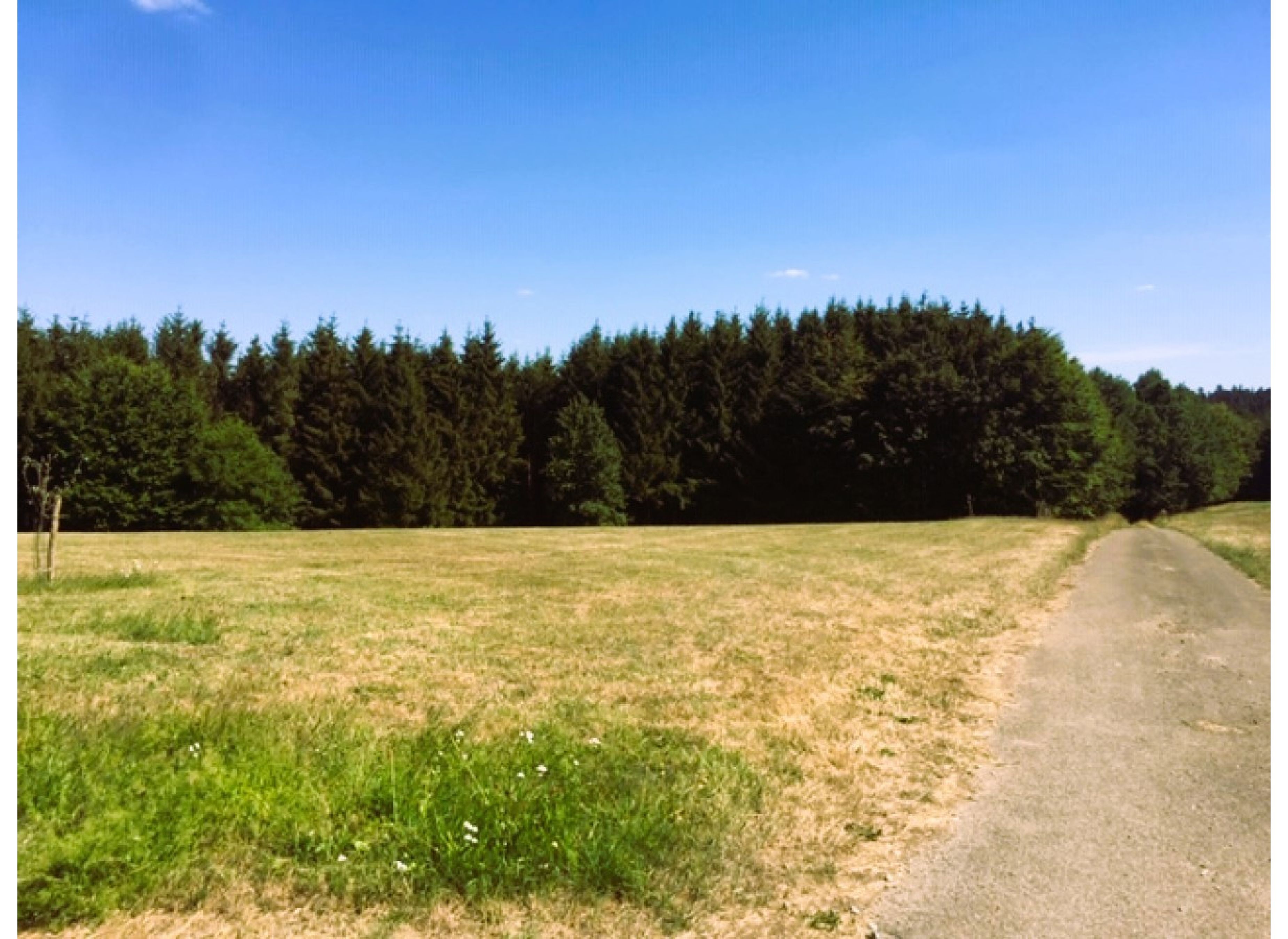 In the middle of nowhere — Bobilplass in Gschwend