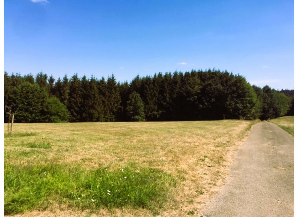 In the middle of nowhere — Fotoğraf 3