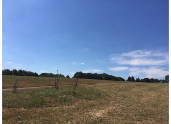 In the middle of nowhere — Photo 2