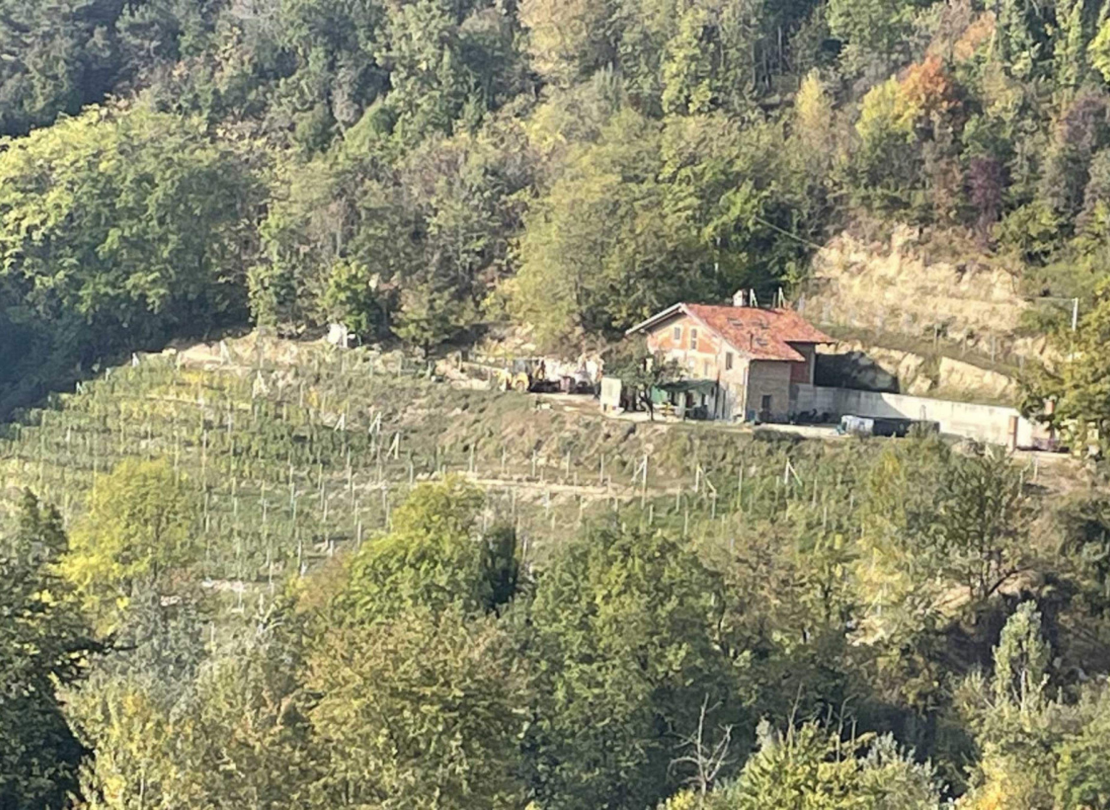 Natur inmitten der Weinberge der Langhe Natura in mezzo ai vigneti delle Langhe — Ställplats in MONFORTE D' ALBA
