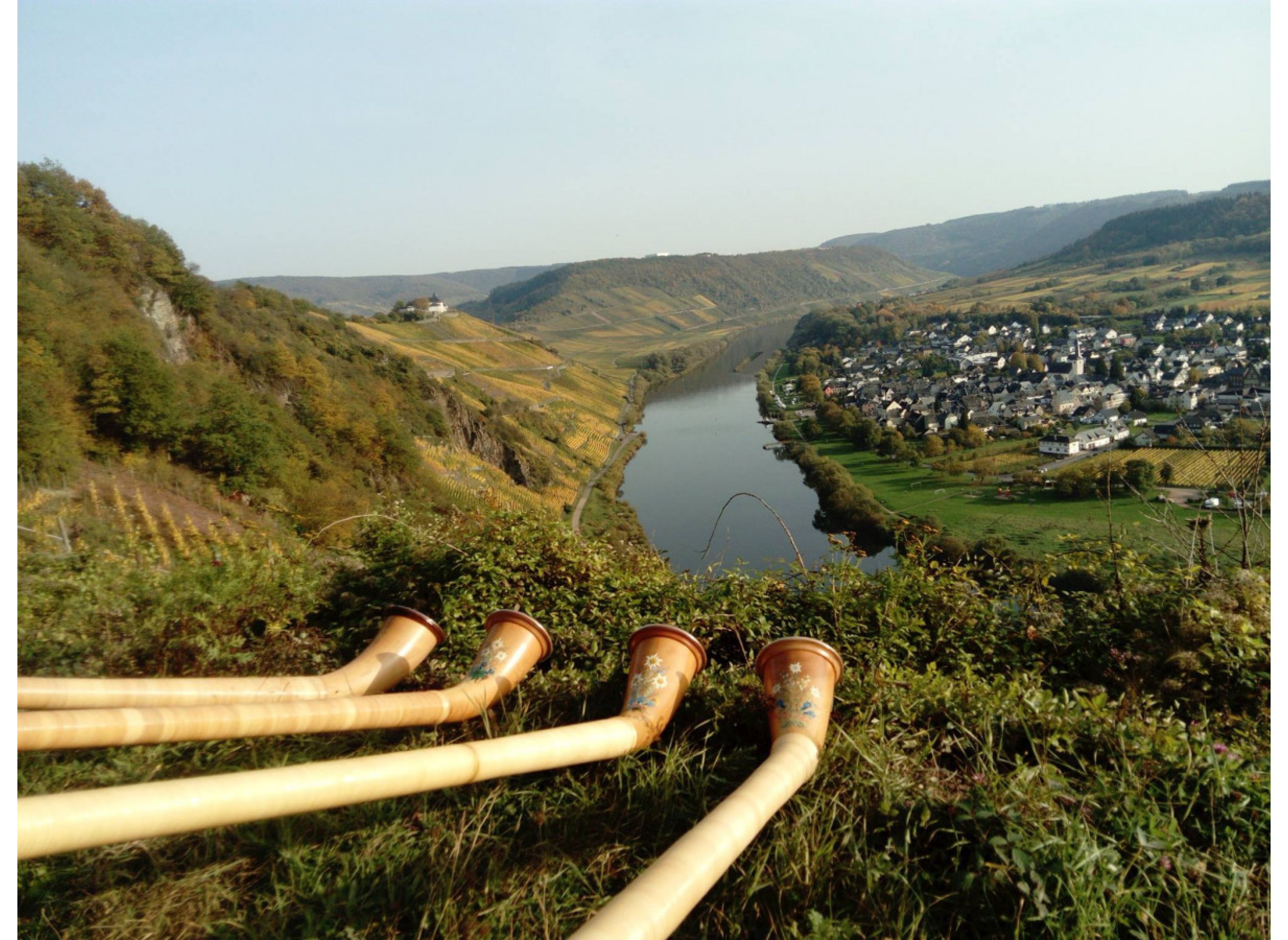 Weingut & Ferienhof an der Mosel — Vineri in Pünderich