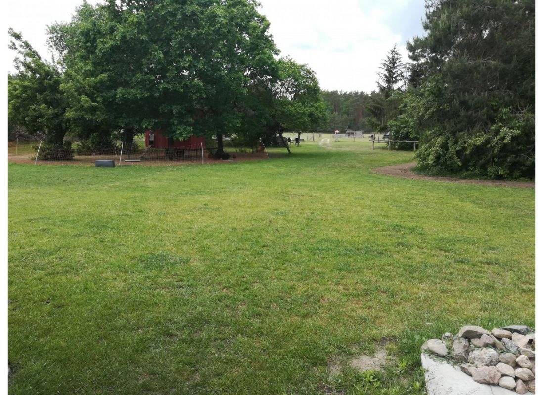 Campingplatz unter Bäumen mit Tieren in der Nähe — Karavan Sitesi in Storbeck-Frankendorf