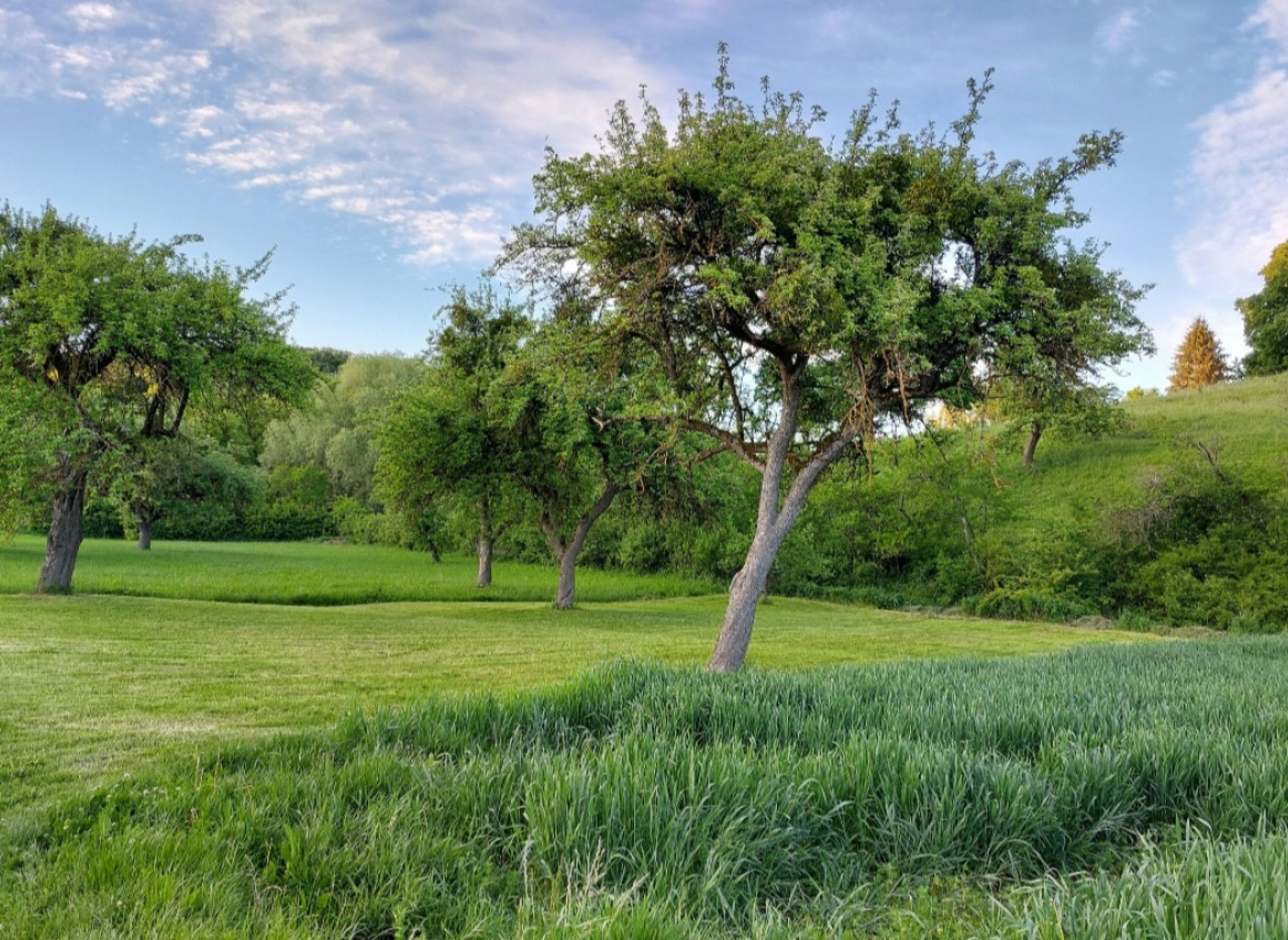 Einzelstellplatz an der Usel — Sítio para autocaravanas in Dischingen