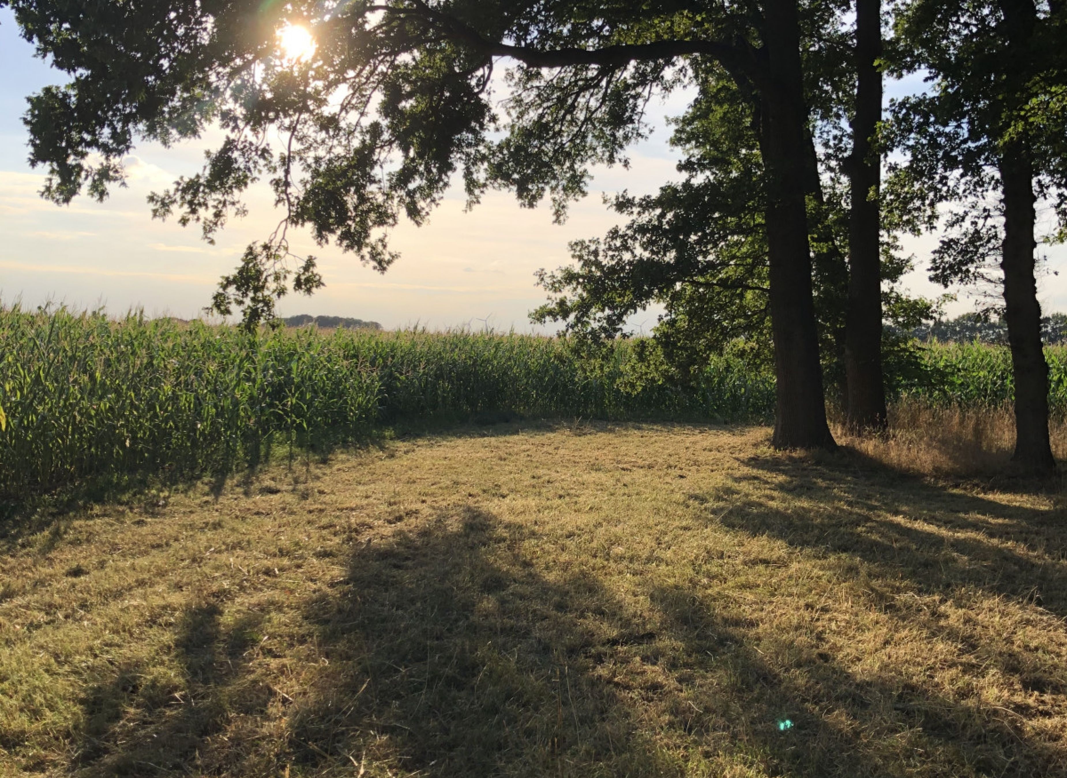 Einzelstellplatz am Eichenwald — Bobilplass in Großenkneten