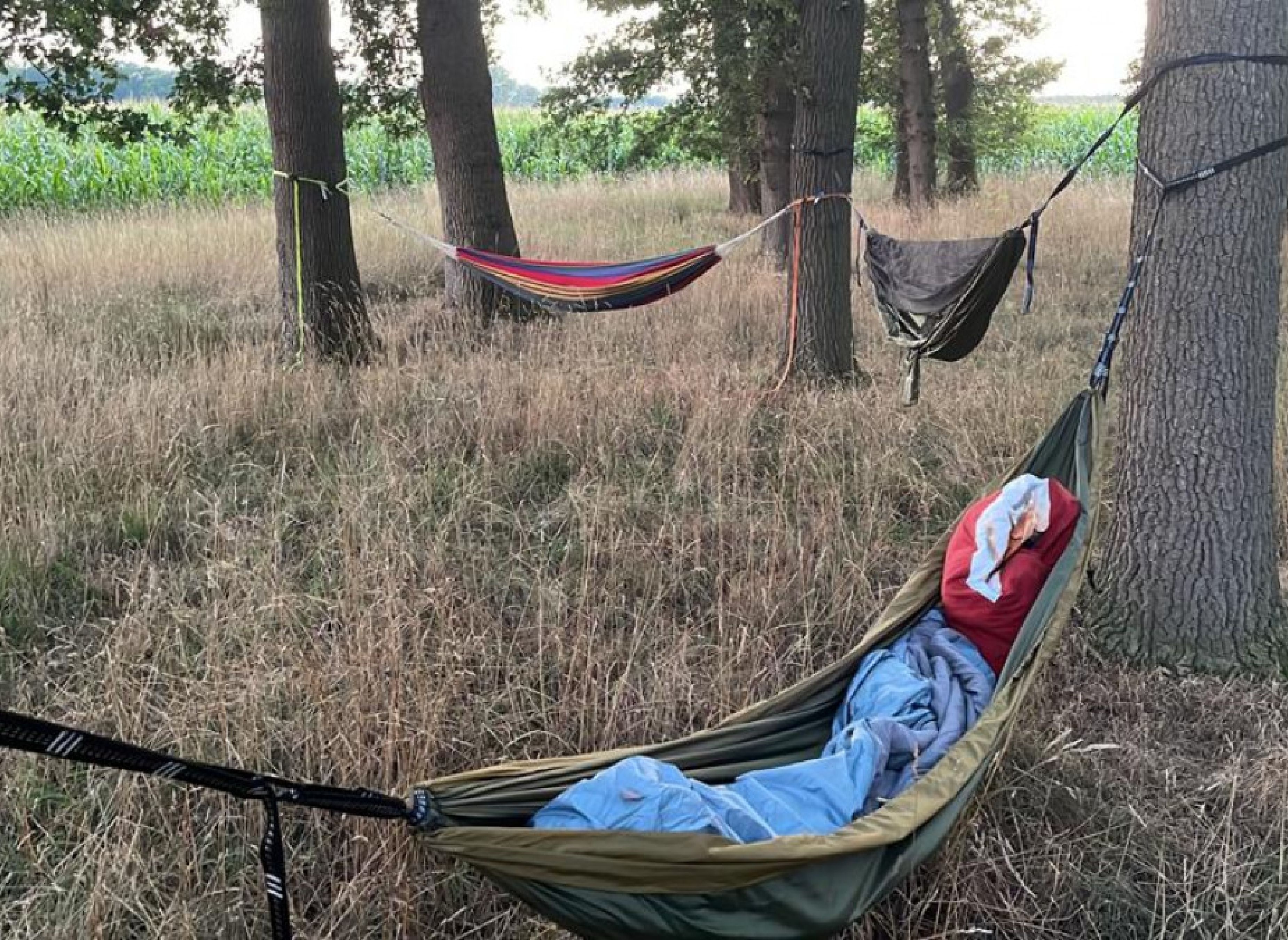 Einzelstellplatz am Eichenwald — Sítio para autocaravanas in Großenkneten