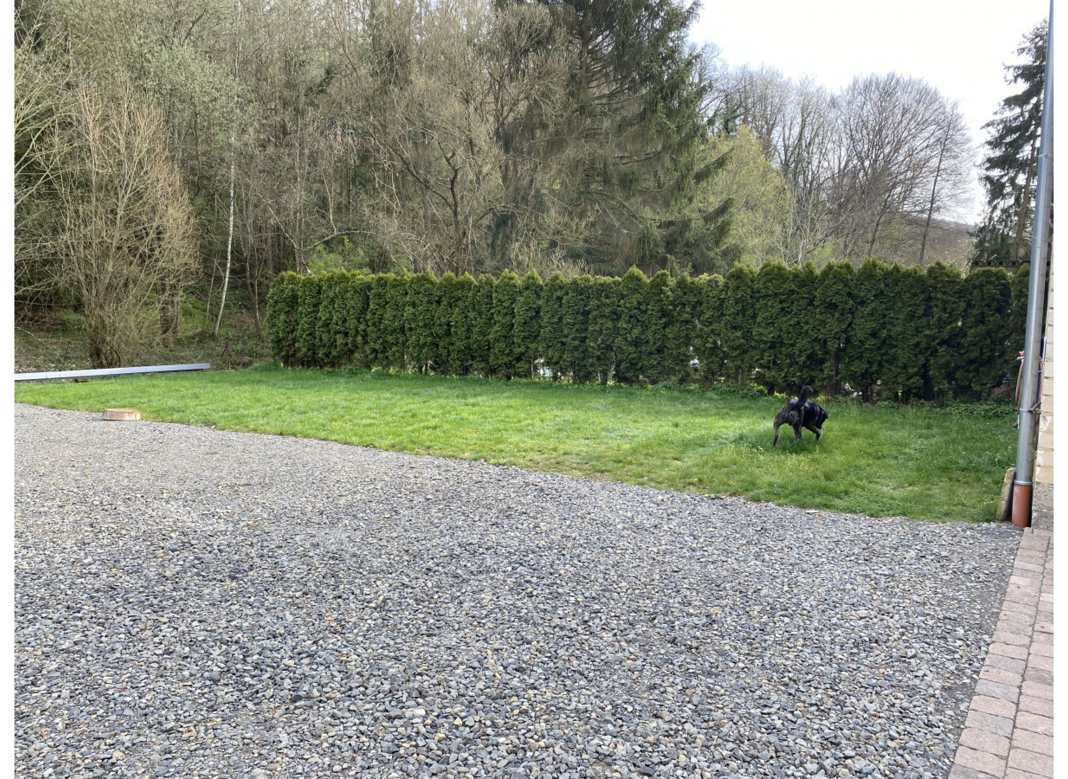 am alten Getreidelager #2 - ideal zum wandern/radfahren — Karavan Sitesi in Schiersfeld