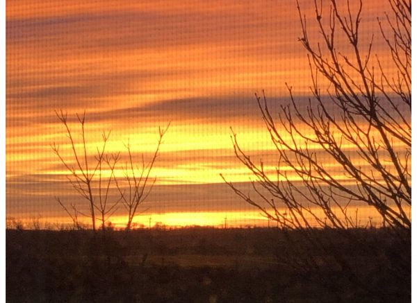 Blick auf Weide, kurzer Weg zum See — Photo 2