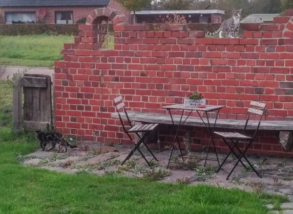 Blick auf Weide, kurzer Weg zum See