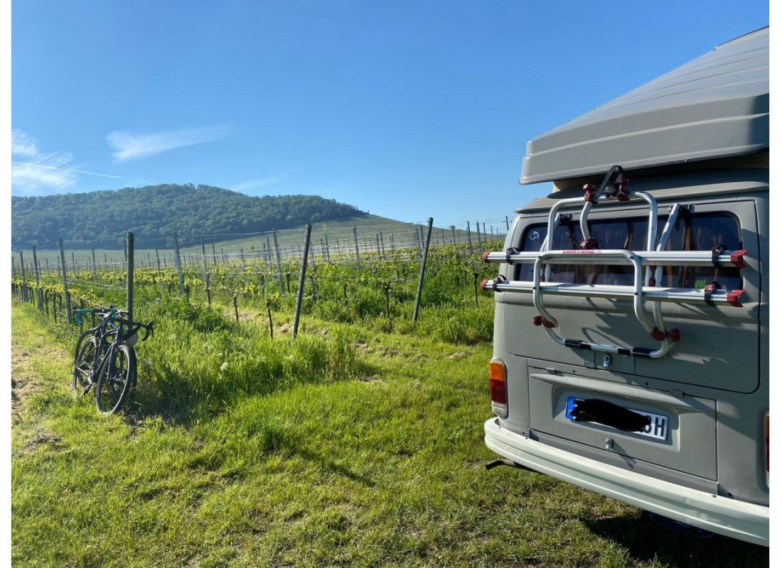 Weinbergstellplatz mit Weitblick ins Frankenland — Camperplaats in Rödelsee